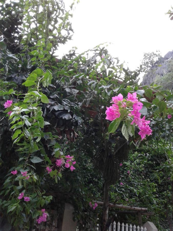 Tam Coc Riverside Homestay Ninh Binh Exterior photo